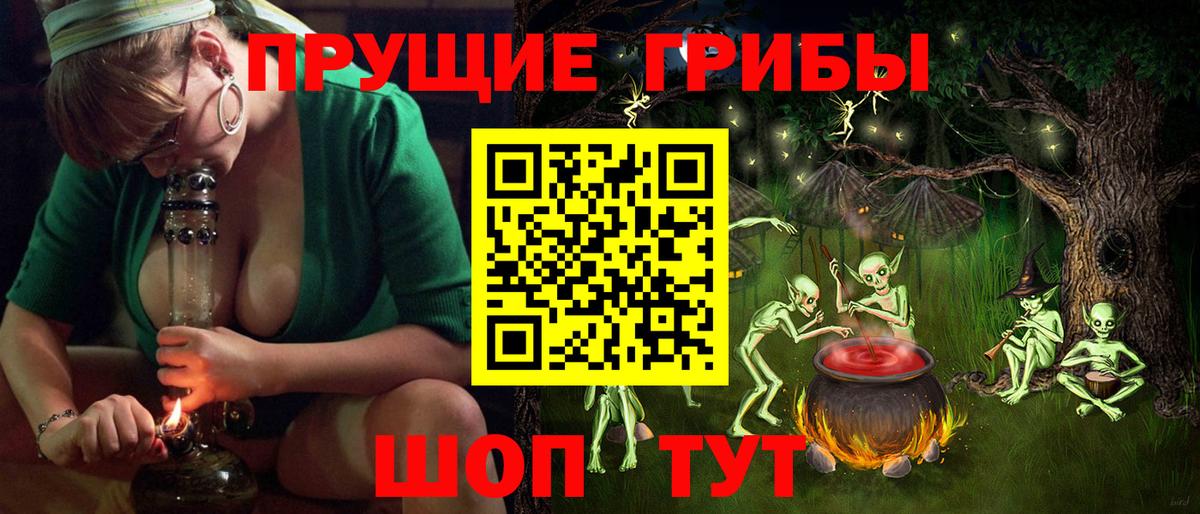 Киселёвск  Галлюциногенные грибы Psilocybe  купить   Вход с VPN 